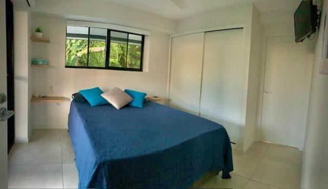 Апартаменты Whitsunday Dreams Эйрли-Бич Экстерьер фото